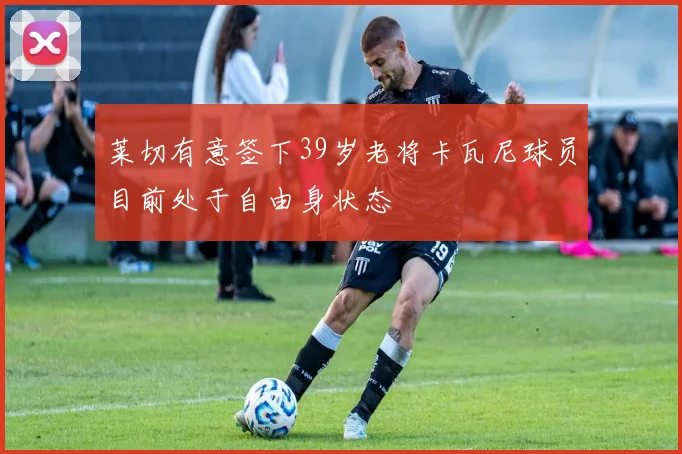 莱切有意签下39岁老将卡瓦尼球员目前处于自由身状态