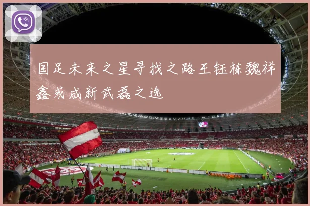 国足未来之星寻找之路王钰栋魏祥鑫或成新武磊之选